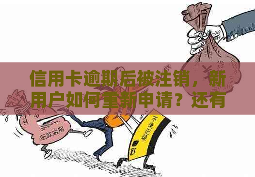 信用卡逾期后被注销，新用户如何重新申请？还有哪些解决方案可行？