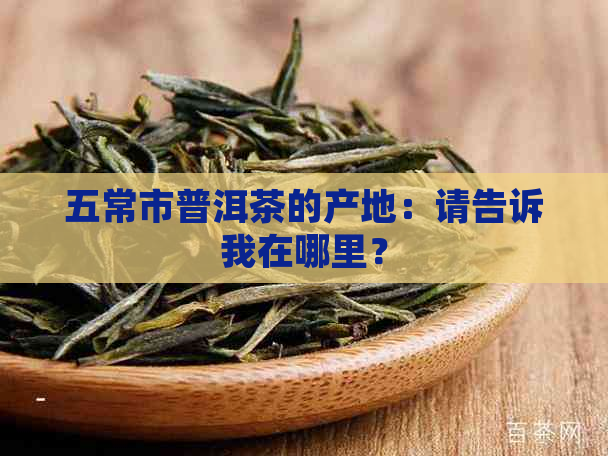 五常市普洱茶的产地：请告诉我在哪里？