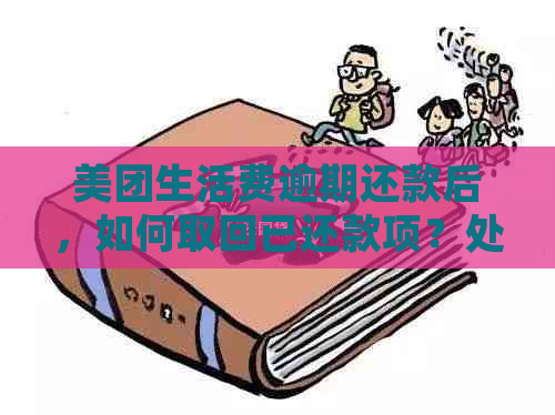 美团生活费逾期还款后，如何取回已还款项？处理逾期还款的完整指南