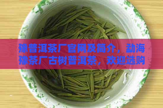 豫普洱茶厂官网及简介，勐海豫茶厂古树普洱茶，欢迎选购！