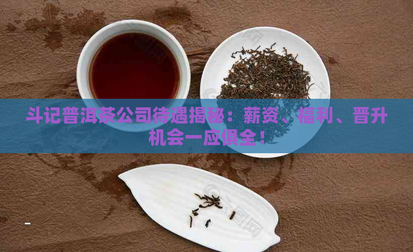 斗记普洱茶公司待遇揭秘：薪资、福利、晋升机会一应俱全！