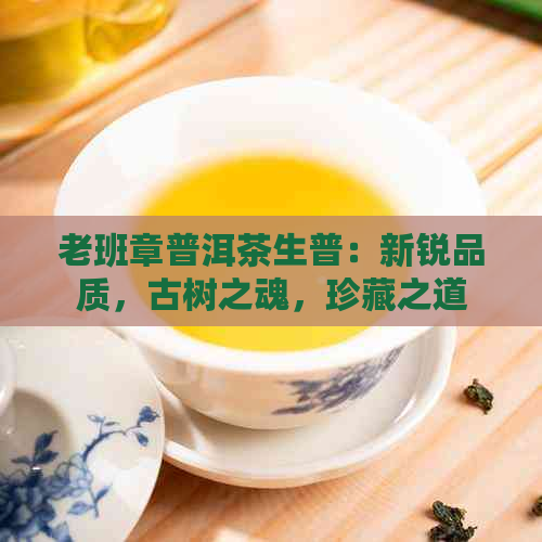 老班章普洱茶生普：新锐品质，古树之魂，珍藏之道