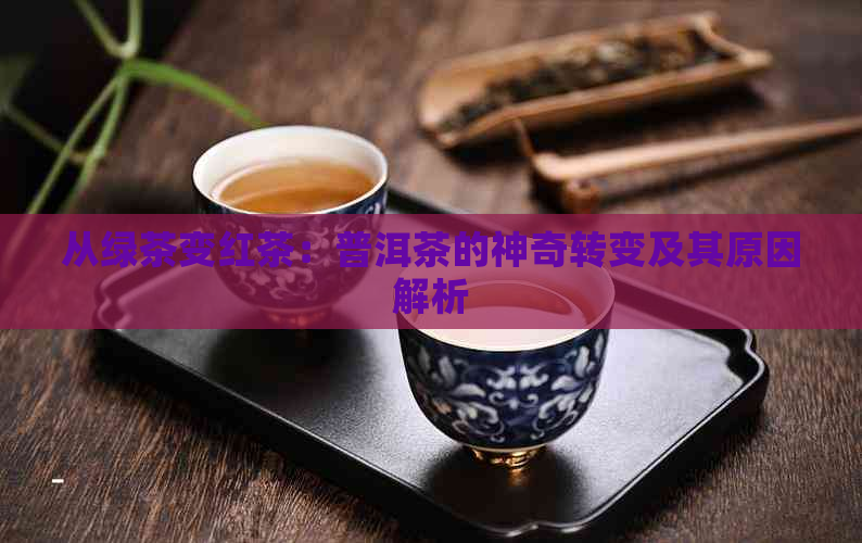 从绿茶变红茶：普洱茶的神奇转变及其原因解析