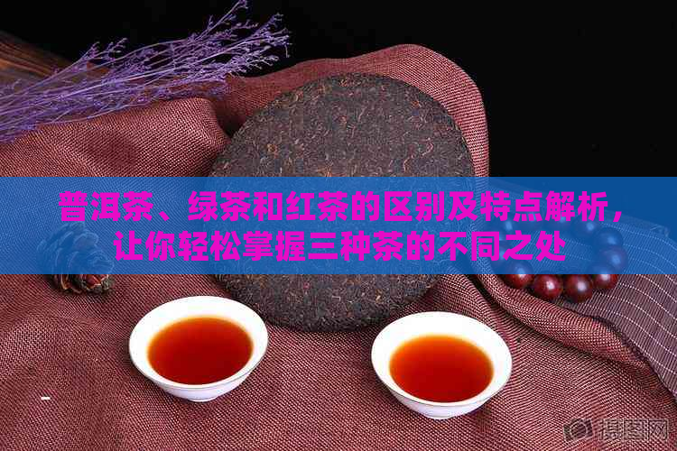 普洱茶、绿茶和红茶的区别及特点解析，让你轻松掌握三种茶的不同之处