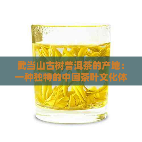 武当山古树普洱茶的产地：一种独特的中国茶叶文化体验