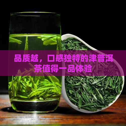 品质越，口感独特的津普洱茶值得一品体验