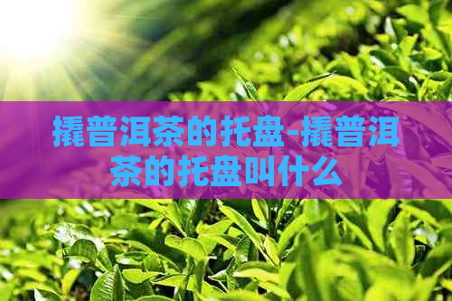 撬普洱茶的托盘-撬普洱茶的托盘叫什么