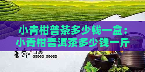 小青柑普茶多少钱一盒：小青柑普洱茶多少钱一斤比较好喝