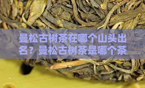 曼松古树茶在哪个山头出名？曼松古树茶是哪个茶区？