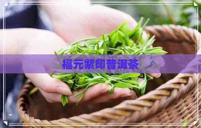 福元紫印普洱茶