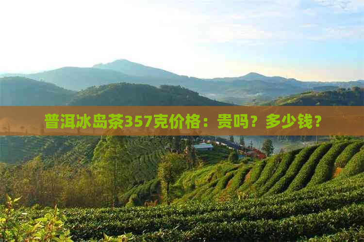 普洱冰岛茶357克价格：贵吗？多少钱？