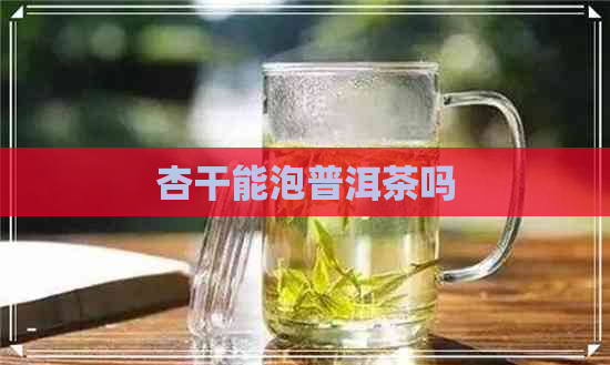 杏干能泡普洱茶吗