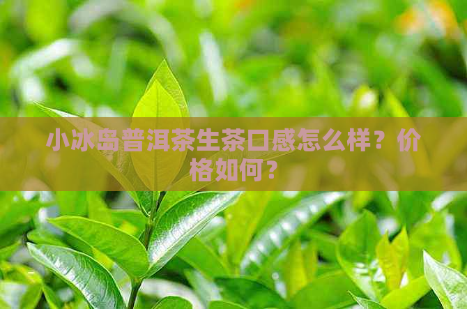 小冰岛普洱茶生茶口感怎么样？价格如何？