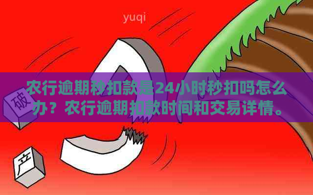 农行逾期秒扣款是24小时秒扣吗怎么办？农行逾期扣款时间和交易详情。