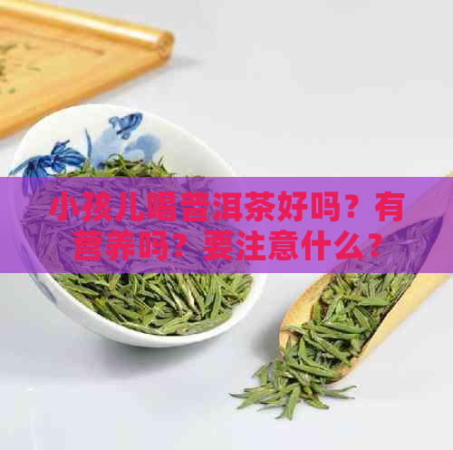 小孩儿喝普洱茶好吗？有营养吗？要注意什么？