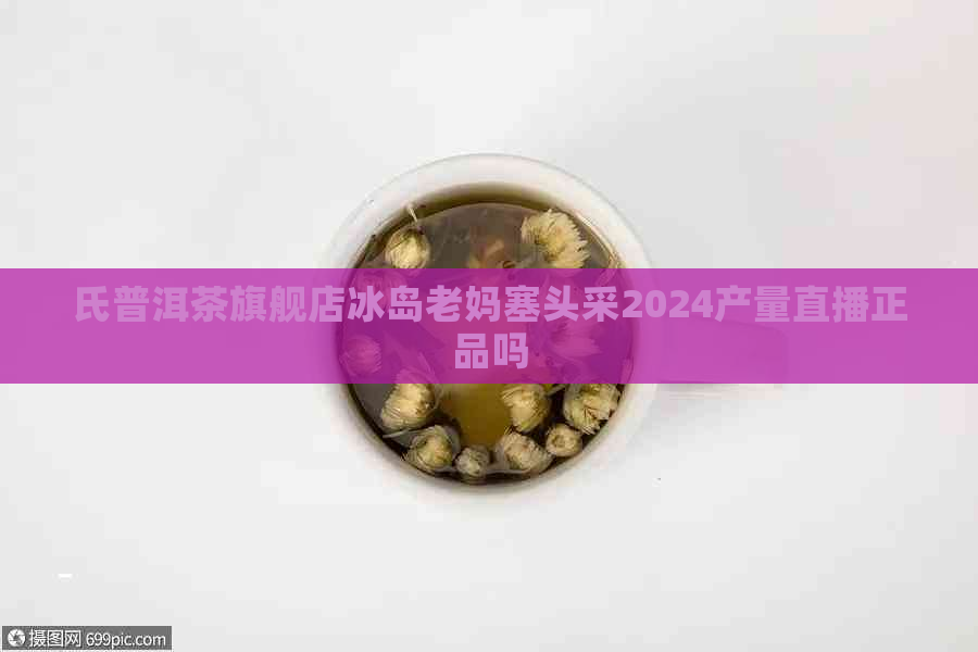 氏普洱茶旗舰店冰岛老妈塞头采2024产量直播正品吗