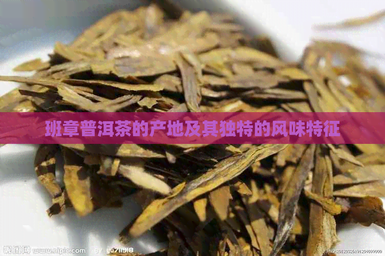 班章普洱茶的产地及其独特的风味特征