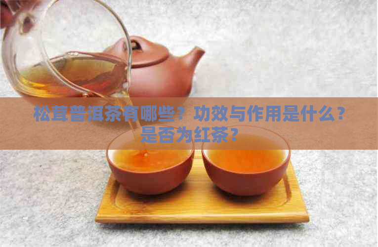 松茸普洱茶有哪些？功效与作用是什么？是否为红茶？