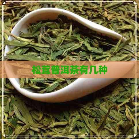 松茸普洱茶有几种