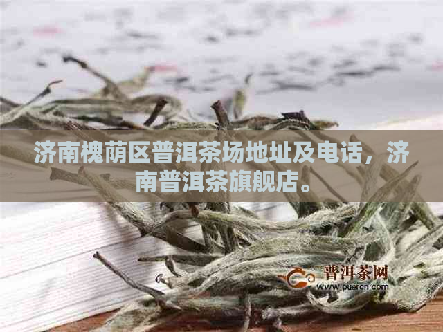 济南槐荫区普洱茶场地址及电话，济南普洱茶旗舰店。