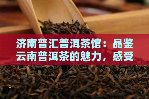 济南普汇普洱茶馆：品鉴云南普洱茶的魅力，感受济南文化的独特气息