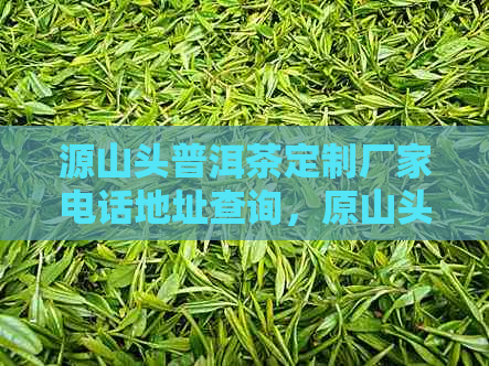 源山头普洱茶定制厂家电话地址查询，原山头普洱茶定制厂家位置在哪里？