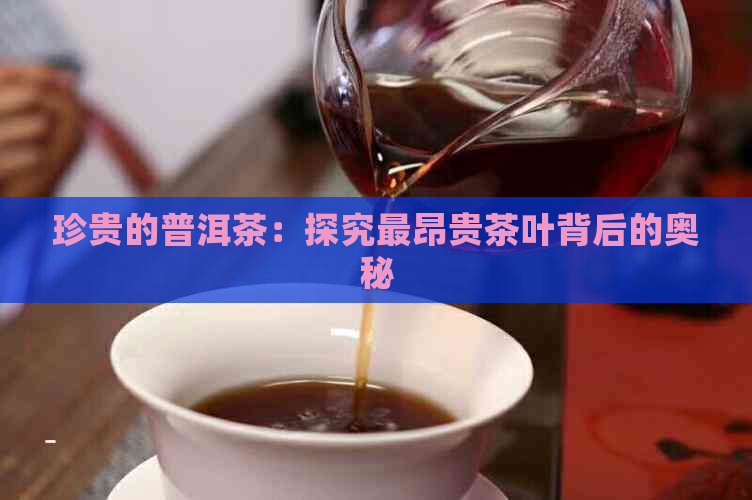 珍贵的普洱茶：探究最昂贵茶叶背后的奥秘