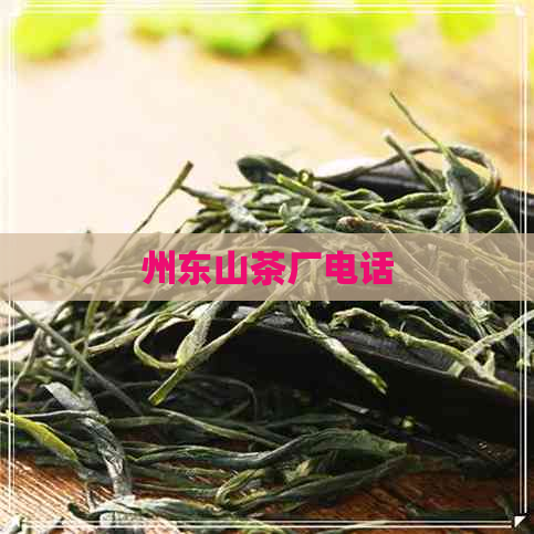 州东山茶厂电话