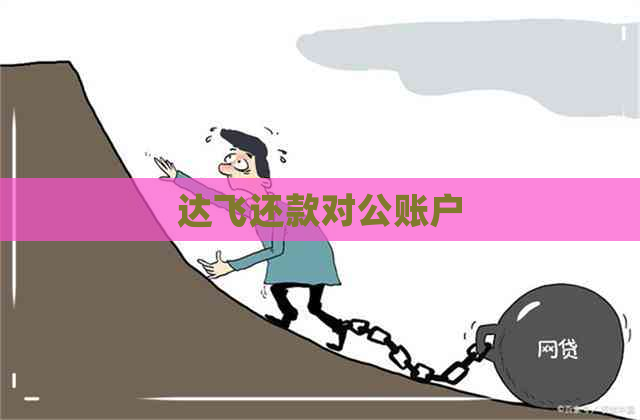 达飞还款对公账户