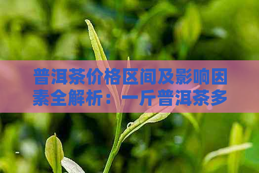 普洱茶价格区间及影响因素全解析：一斤普洱茶多少钱？