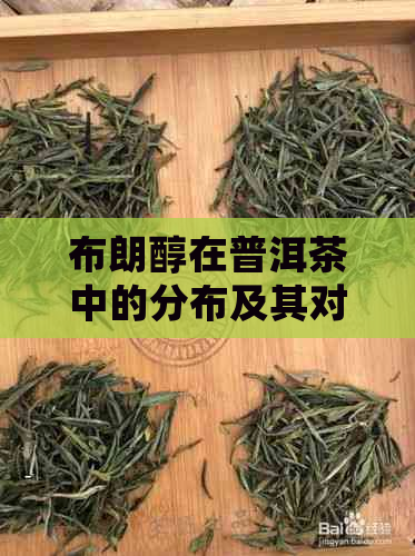 布朗醇在普洱茶中的分布及其对茶叶品质的影响