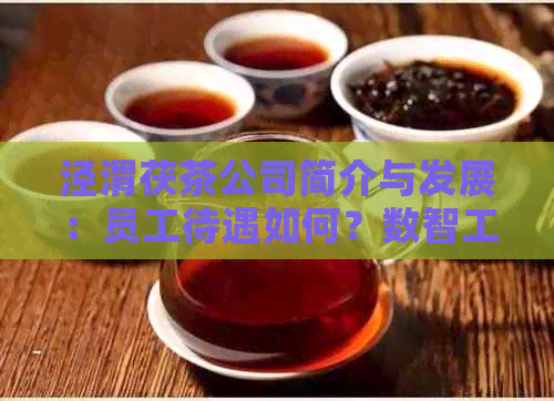 泾渭茯茶公司简介与发展：员工待遇如何？数智工厂好进吗？