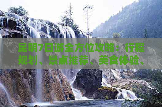 昆明7日游全方位攻略：行程规划、景点推荐、美食体验、住宿选择一应俱全