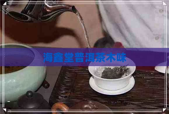 海鑫堂普洱茶木味