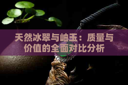 天然冰翠与岫玉：质量与价值的全面对比分析