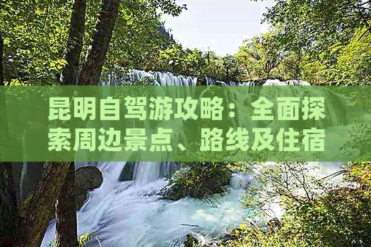 昆明自驾游攻略：全面探索周边景点、路线及住宿建议，让你玩得更尽兴！