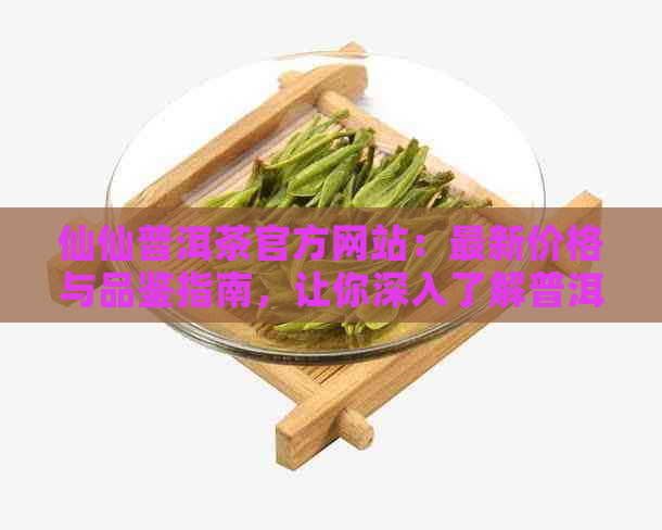 仙仙普洱茶官方网站：最新价格与品鉴指南，让你深入了解普洱茶的魅力