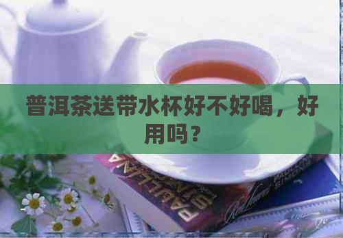 普洱茶送带水杯好不好喝，好用吗？