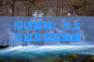 探访昆明：从上海出发的完美旅行路线与景点推荐