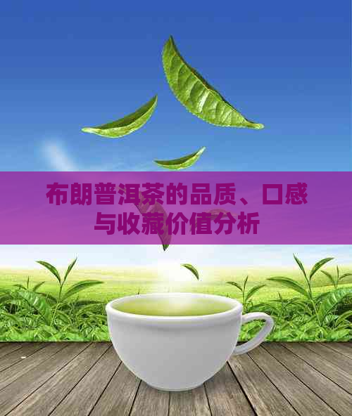 布朗普洱茶的品质、口感与收藏价值分析