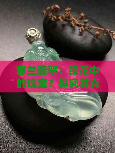 寒兰翡翠：绿花中的瑰宝？探究其真正的花卉身份