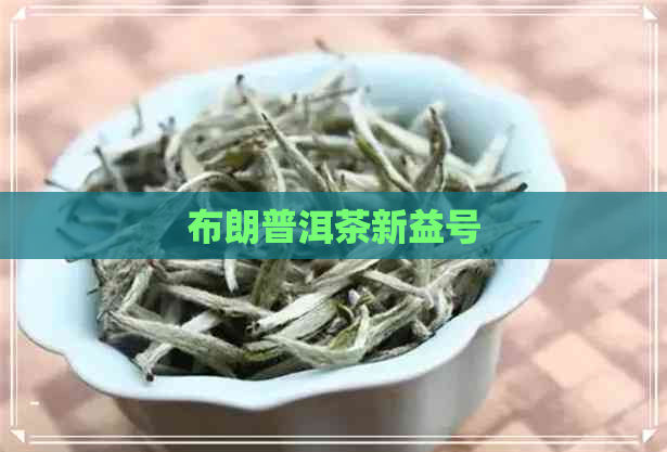 布朗普洱茶新益号