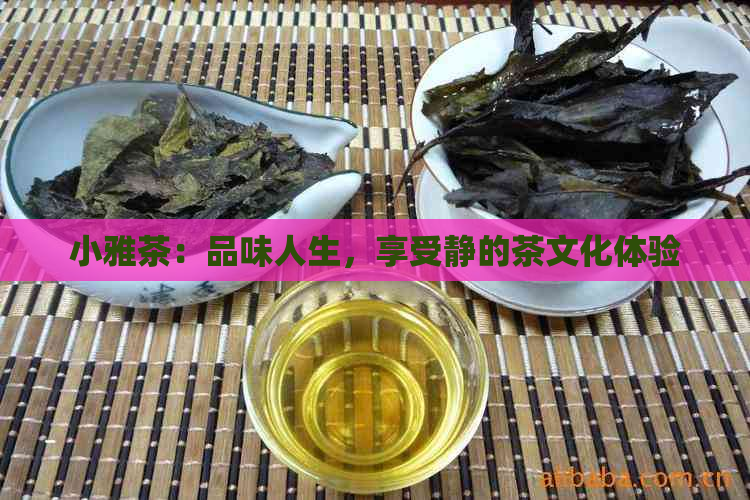 小雅茶：品味人生，享受静的茶文化体验