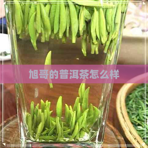 旭哥的普洱茶怎么样