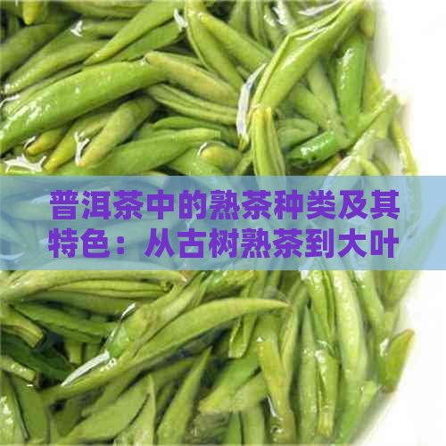 普洱茶中的熟茶种类及其特色：从古树熟茶到大叶种熟茶的品鉴与鉴别