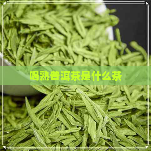 喝熟普洱茶是什么茶