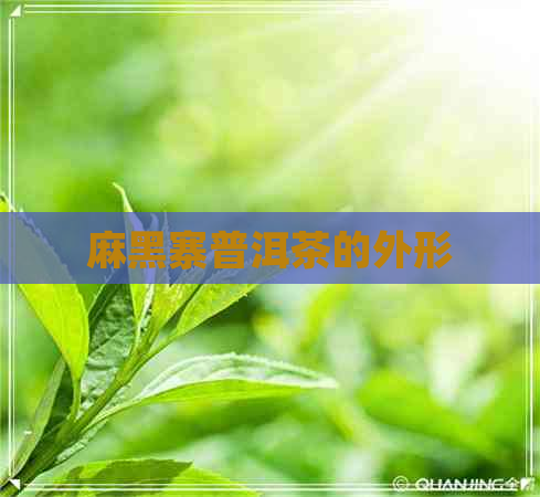 麻黑寨普洱茶的外形