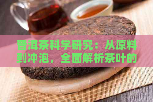 普洱茶科学研究：从原料到冲泡，全面解析茶叶的奥秘与品鉴方法