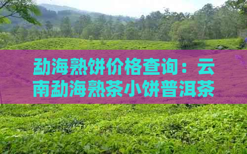 勐海熟饼价格查询：云南勐海熟茶小饼普洱茶价格及保质期