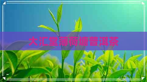 大汇堂薄荷塘普洱茶